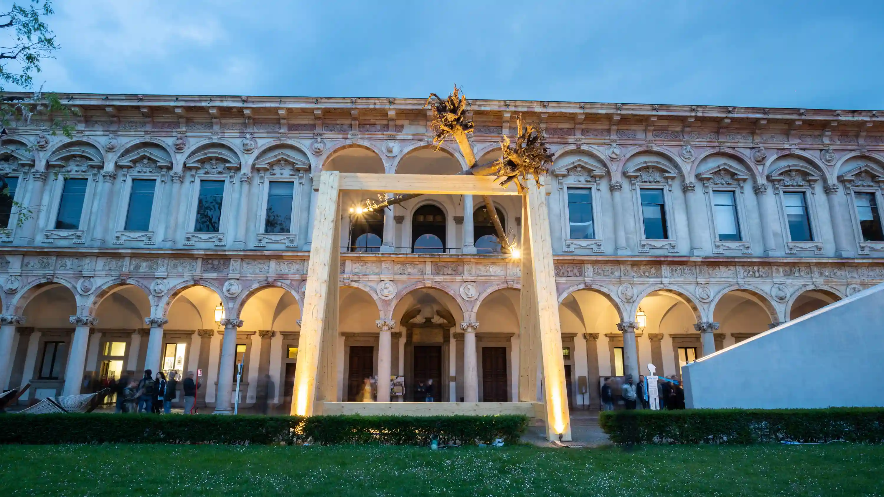 comunicare l'architettura piuarch foresta dei violini