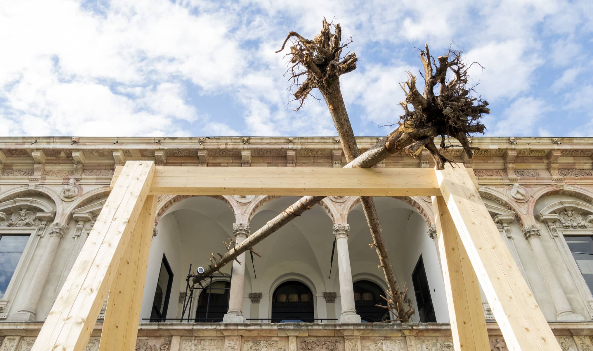 nemo monti piuarch foresta dei violini installazione