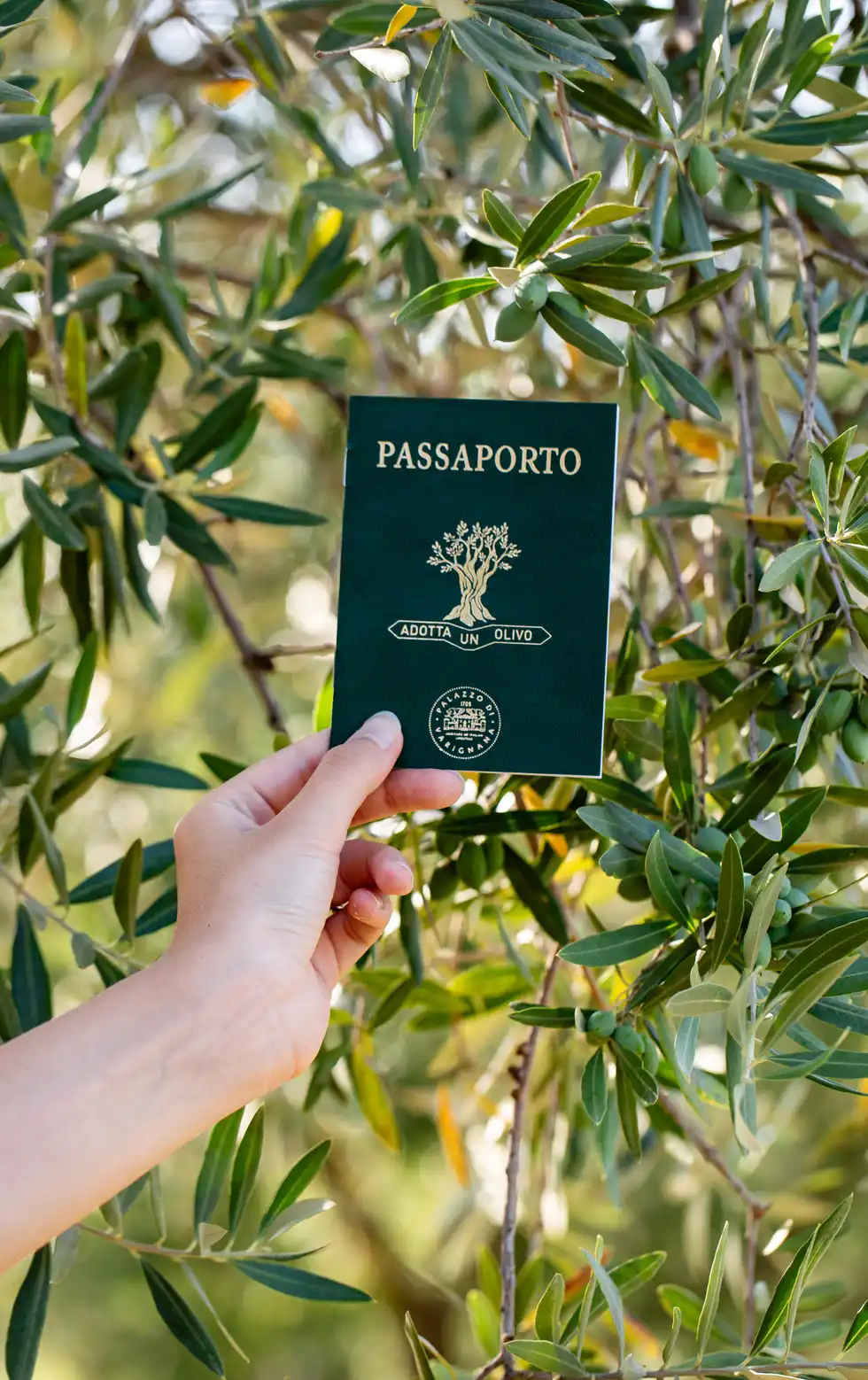sostenibilita palazzo varignana passaporto olivo