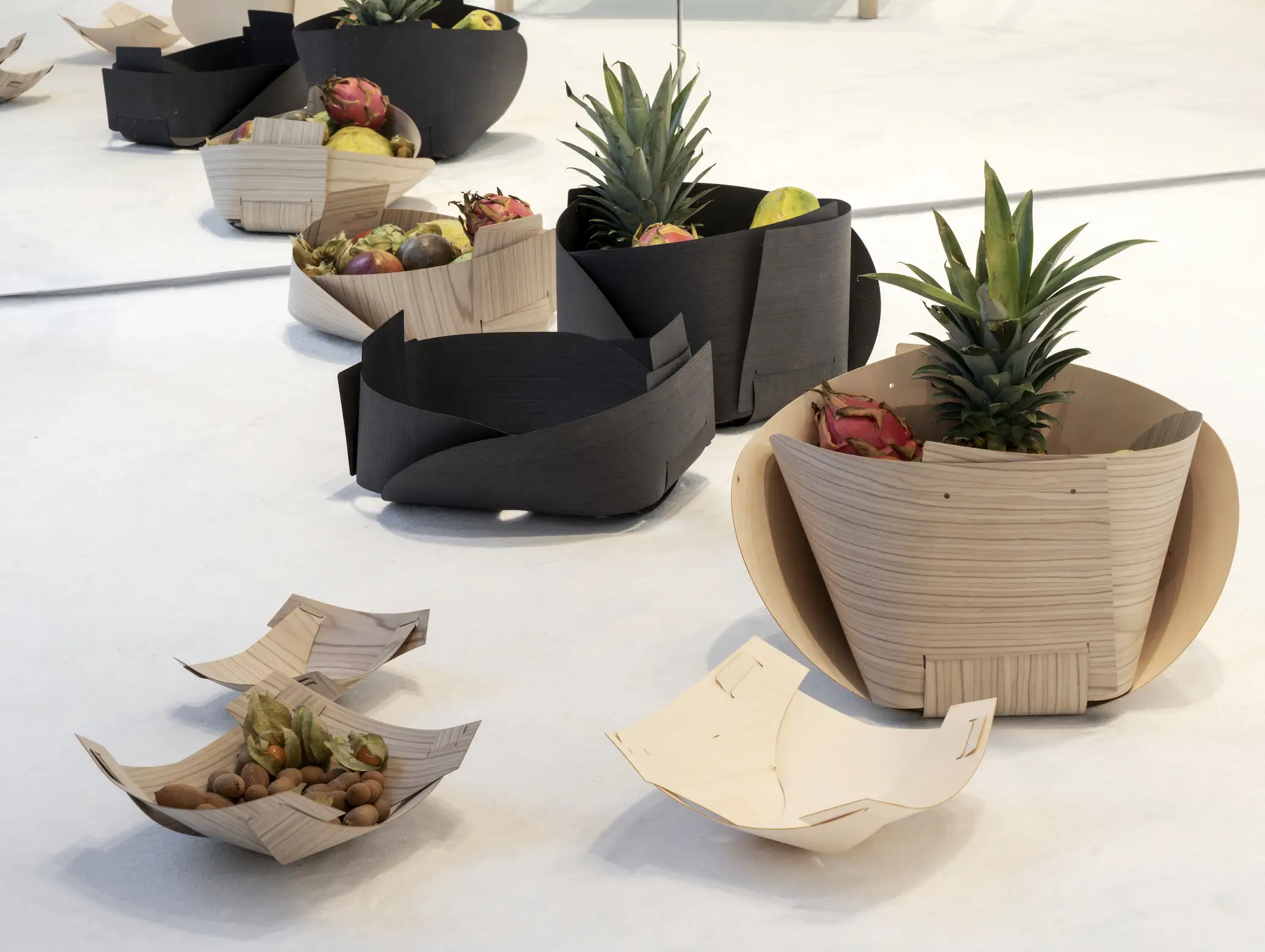 branding per pianca emerging lines piante
