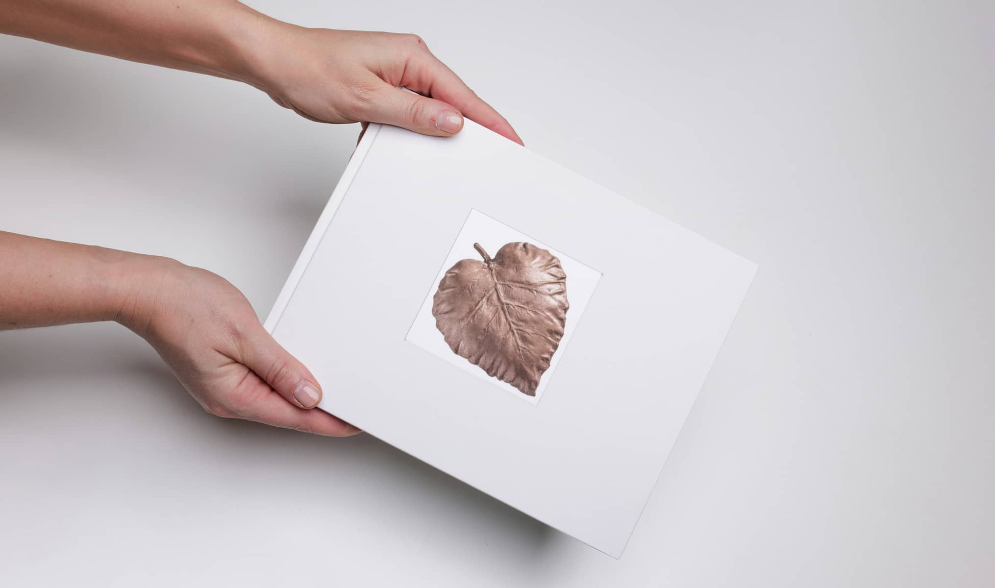 comunicare la sostenibilità, biolibro bonaveri copertina