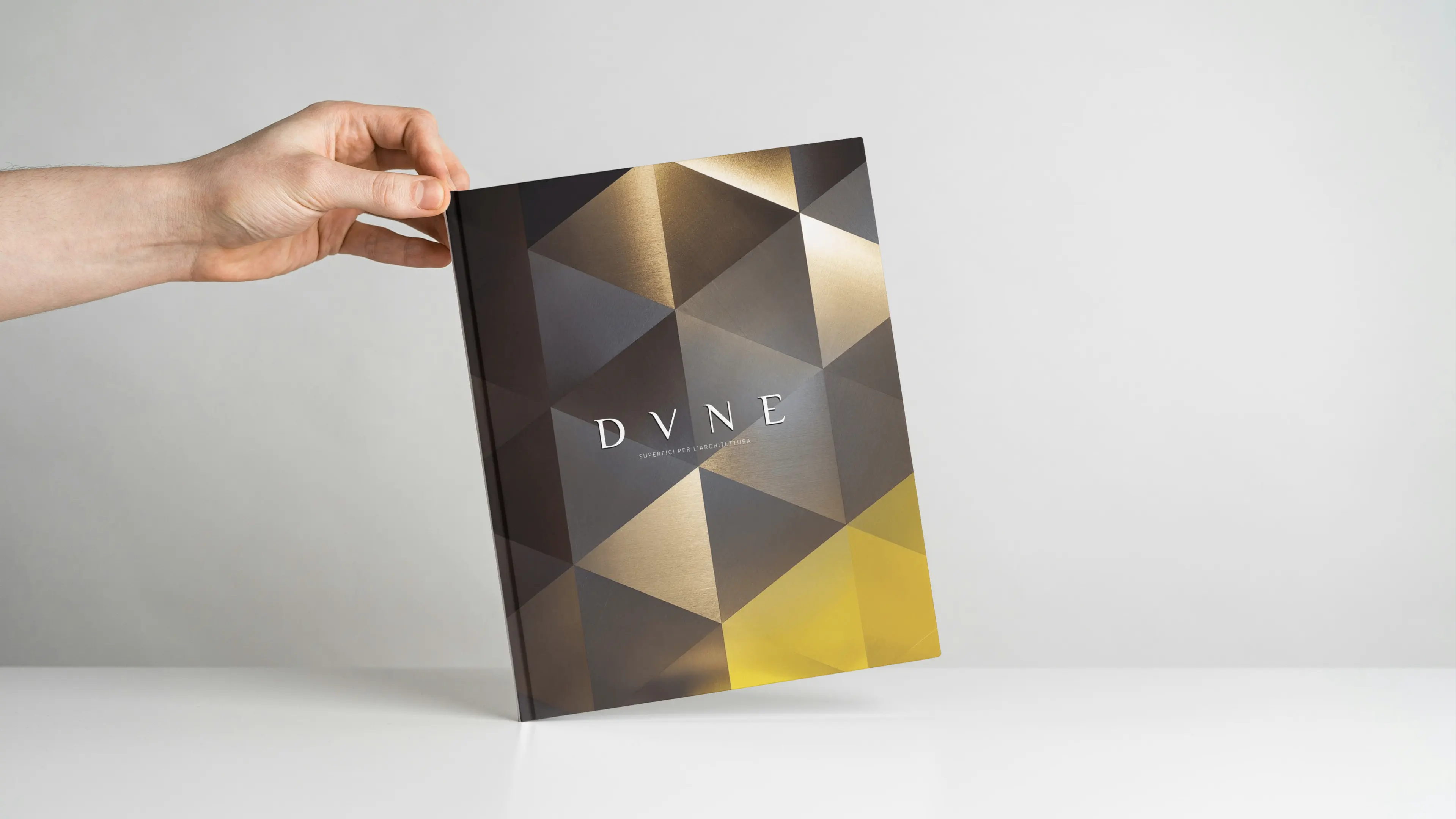 progetto editoriale dvne